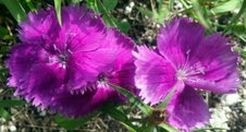 Enlarge photo 32