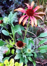 Enlarge photo 107