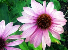 Enlarge photo 122
