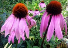 Enlarge photo 123
