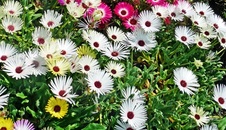 Enlarge photo 236