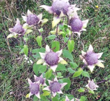 Enlarge photo 55