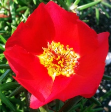 Enlarge photo 35
