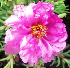 Enlarge photo 39