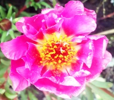 Enlarge photo 40