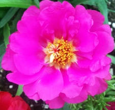 Enlarge photo 34