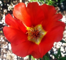 Enlarge photo 37