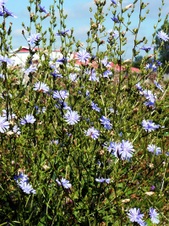 Enlarge photo 205