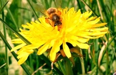 Enlarge photo 88