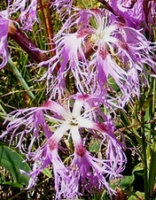 Enlarge photo 281