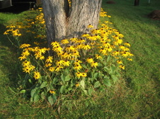 Enlarge photo 2
