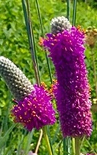 Enlarge photo 302