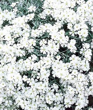 Enlarge photo 285