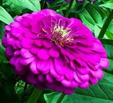 Enlarge photo 278