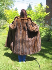 Enlarge photo 116