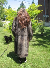 Enlarge photo 121