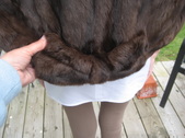 Enlarge photo 62