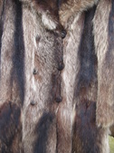 Enlarge photo 52