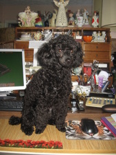 Enlarge photo 37