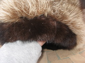 Enlarge photo 178
