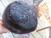 Enlarge photo 35