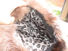 Enlarge photo 22