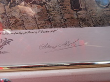 Enlarge photo 75