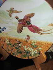 Enlarge photo 139