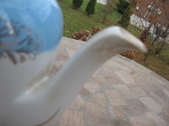 Enlarge photo 164