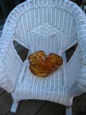 Enlarge photo 27