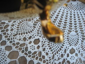 Enlarge photo 68