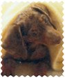 Enlarge photo 111