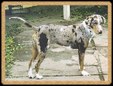 Enlarge photo 316
