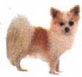 Enlarge photo 355