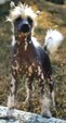 Enlarge photo 372
