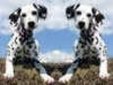 Enlarge photo 504