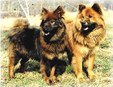 Enlarge photo 542