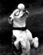 Enlarge photo 561