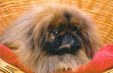 Enlarge photo 782