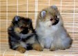 Enlarge photo 791