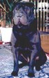Enlarge photo 936