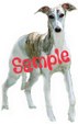 Enlarge photo 1041