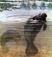 Enlarge photo 35