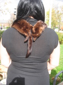 Enlarge photo 39