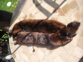 Enlarge photo 45
