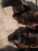 Enlarge photo 46