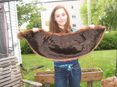 Enlarge photo 84