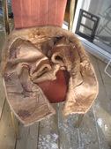 Enlarge photo 52