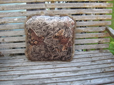 Enlarge photo 8