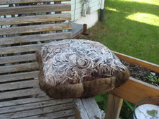 Enlarge photo 10